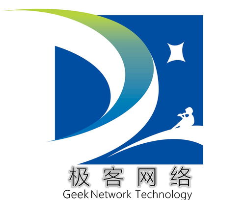 福建極客網絡科技 技術驅動創新，數字賦能未來